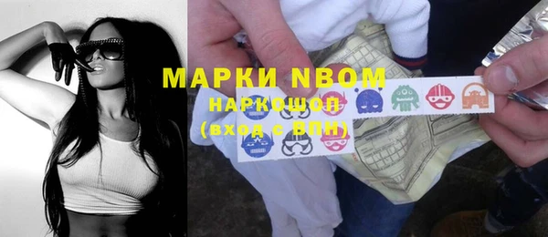 прущие грибы Армянск