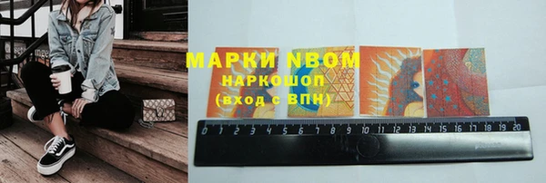 прущие грибы Армянск