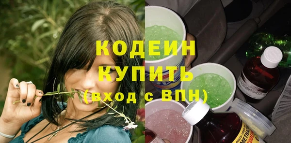 прущие грибы Армянск