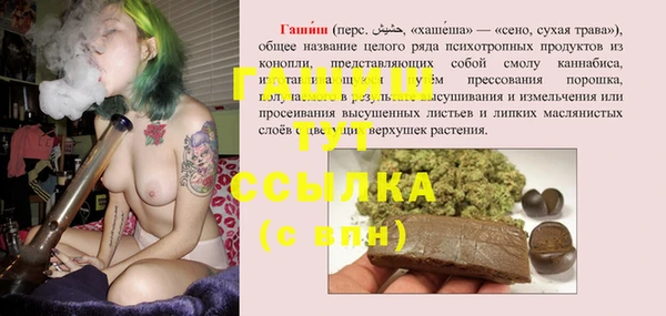 прущие грибы Армянск