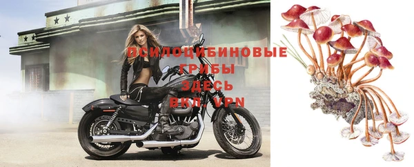 герыч Аркадак