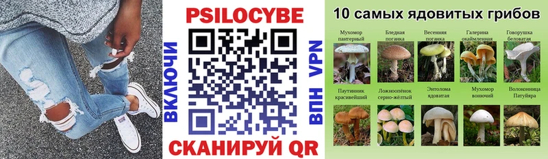 Галлюциногенные грибы GOLDEN TEACHER  хочу   Асино 